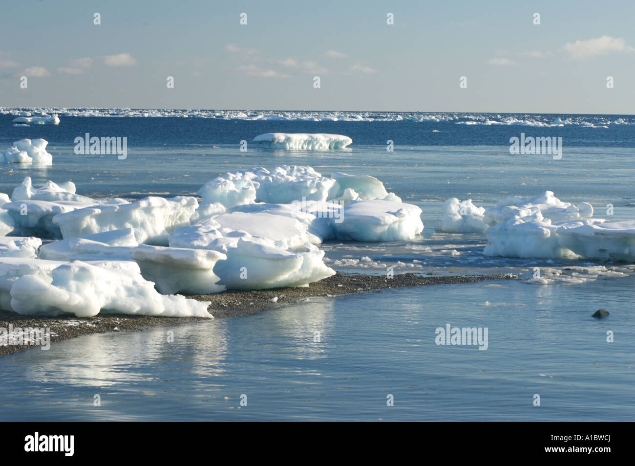 Pack di ghiaccio nel promuovere Bay all inizio del gelo invernale fino all'oceano si congela a partire dal mese di novembre fino al mese di giugno Foto Stock