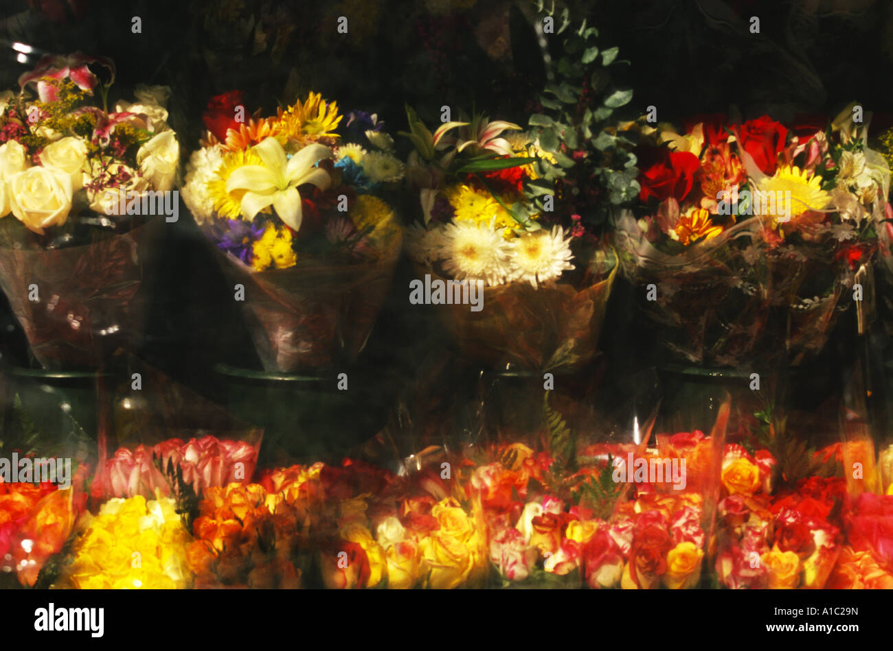 Fiori in vendita bodega, NYC. Foto Stock
