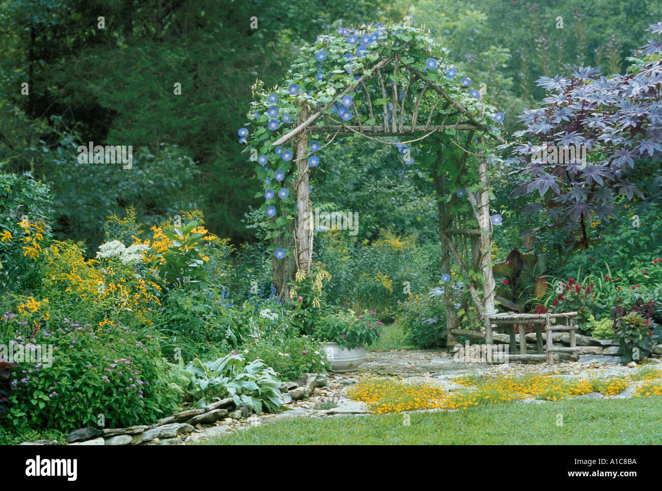 Fatto a mano rustica cedar arbor con blue gloria di mattina fiori da lastricato patio nel giardino fiorito, Midwest USA Foto Stock