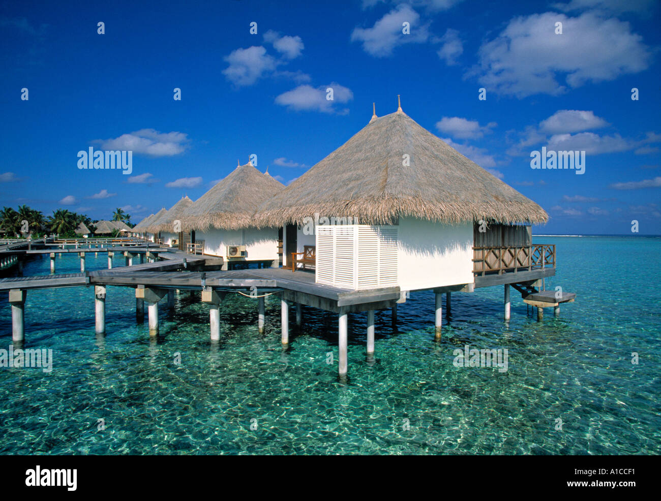 Maldive, Oceano Indiano Foto Stock