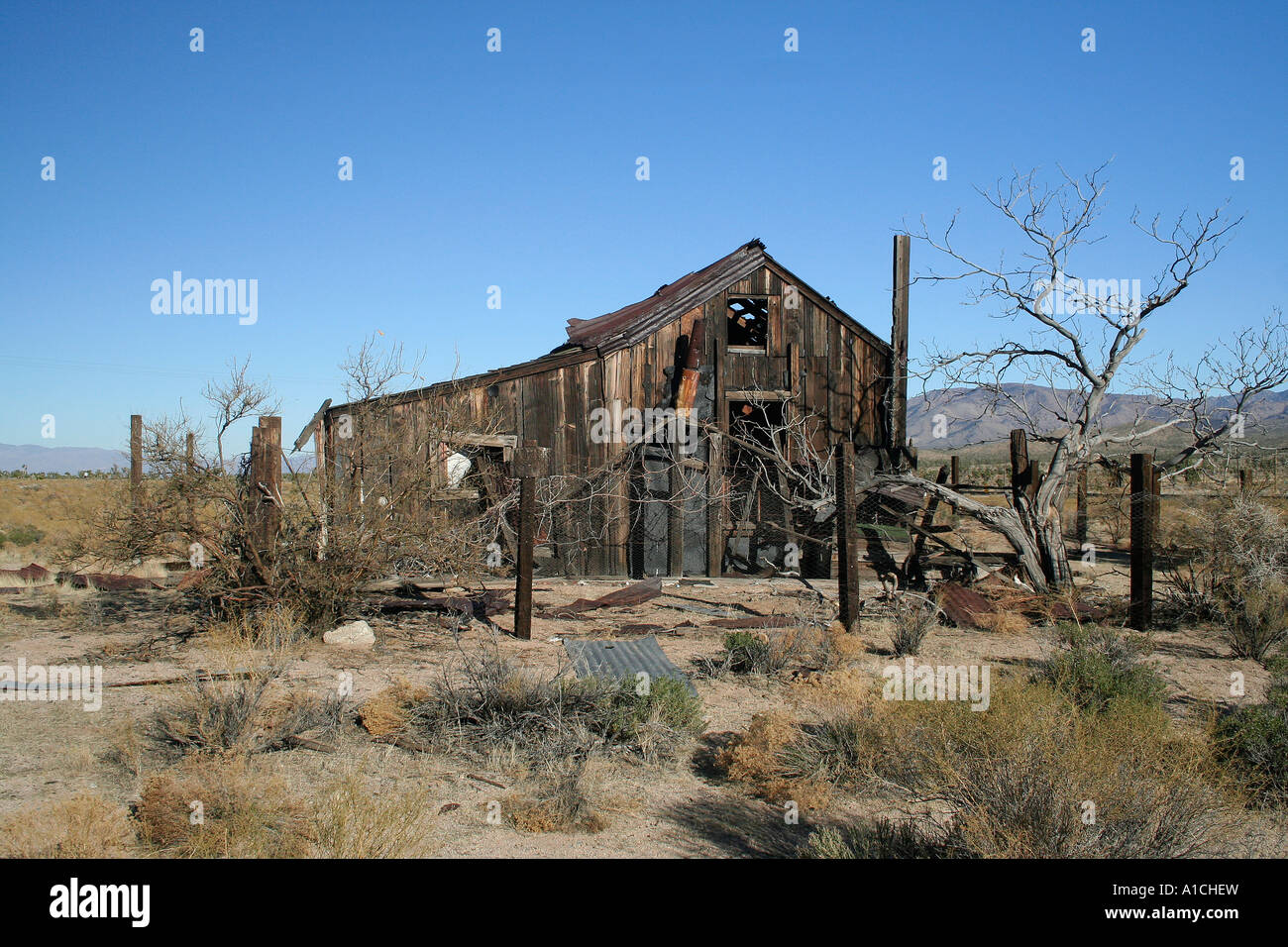 Capanna abbandonata nel deserto di Mojave, California, Stati Uniti d'America. Foto Stock