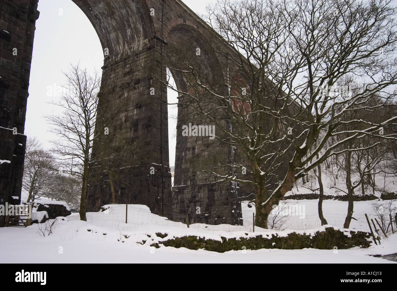 Viadotto ferroviario Dentdale Yorkshire Dales Foto Stock