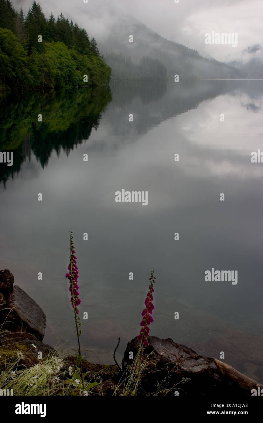 Crescent Lake con specchio-simili riflessioni nella sua superficie calma. Foto Stock