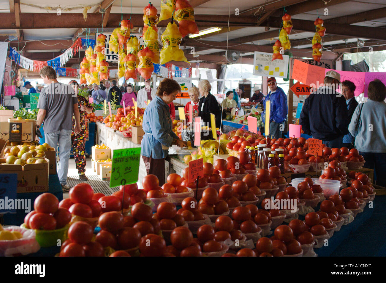 Frutta e verdura per la vendita in un mercato degli agricoltori nella Florida Centrale, STATI UNITI D'AMERICA Foto Stock Frutta e verdura per la vendita in un mercato degli agricoltori nella Florida Centrale, STATI UNITI D'AMERICA Foto Stock