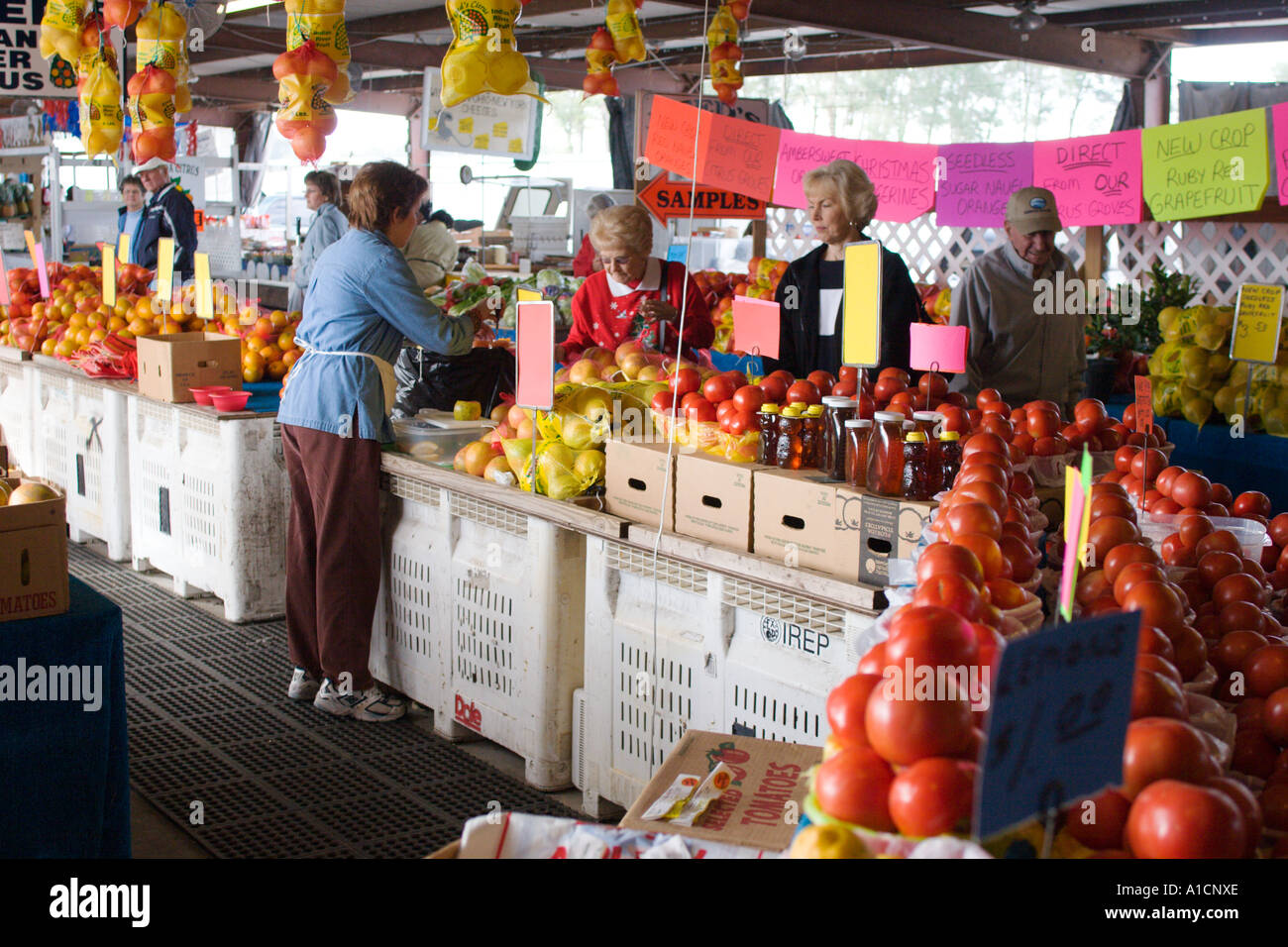 Frutta e verdura per la vendita in un mercato degli agricoltori nella Florida Centrale, STATI UNITI D'AMERICA Foto Stock Frutta e verdura per la vendita in un mercato degli agricoltori nella Florida Centrale, STATI UNITI D'AMERICA Foto Stock