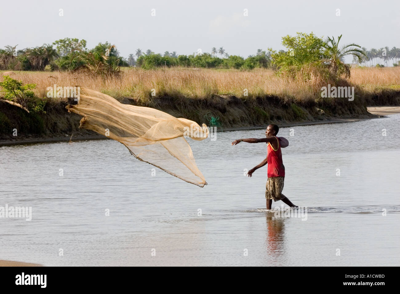 Fisherman gettando un castnet nel Muni laguna vicino Winneba Ghana Foto Stock