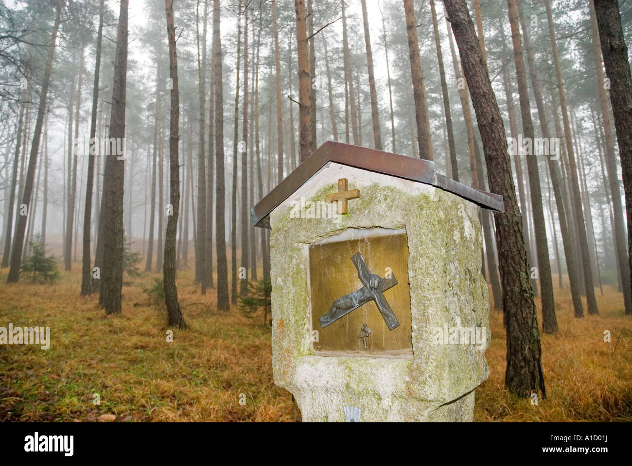 Monumento cattolica sulla strada forestale per la Chiesa, Auerbach, Oberpfalz, Baviera, Germania Foto Stock