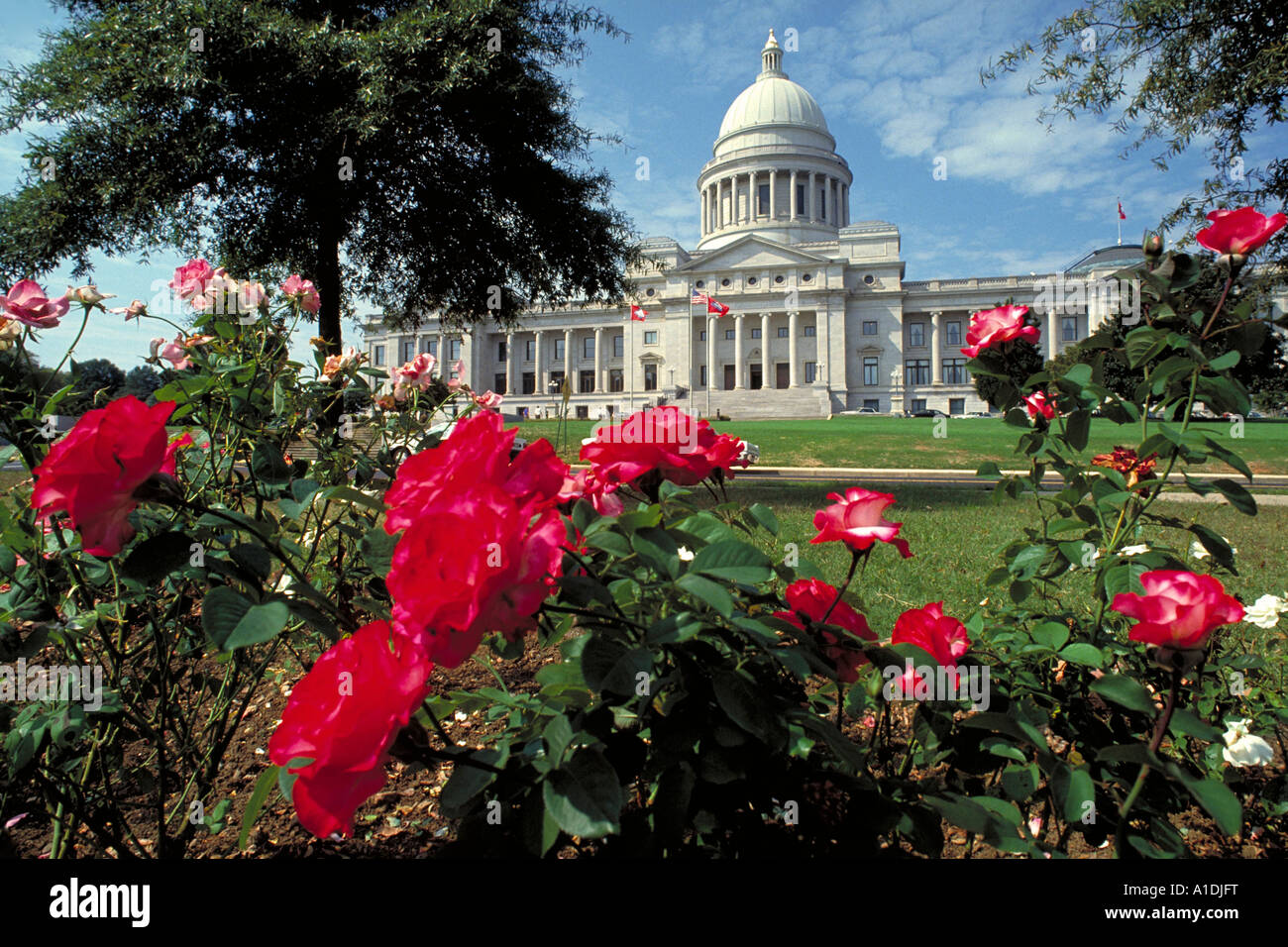 Elk215 1072 Arkansas Little Rock State Capitol Building 1899 con giardino di rose Foto Stock