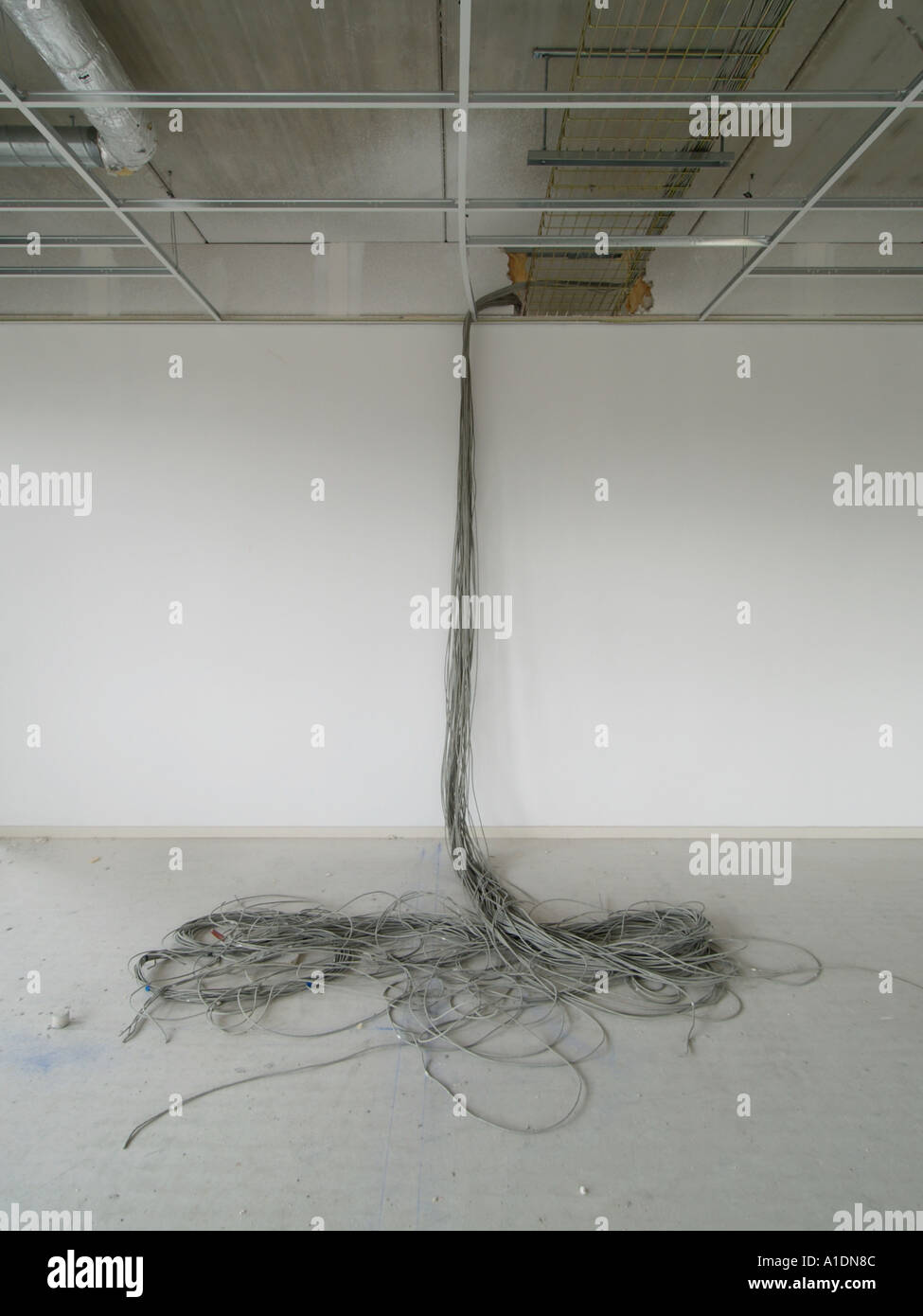 Massa gigante di cavo di rete proveniente dal soffitto in un nuovo edificio per uffici Foto Stock