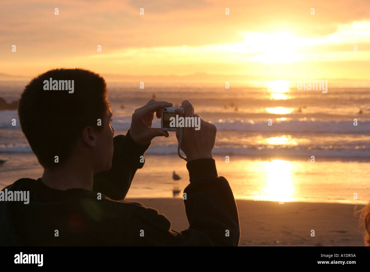 Newport Beach California, Balboa Peninsula, adolescenti adolescenti adolescenti adolescenti adolescenti giovani adolescenti adolescenti adolescenti adolescenti adolescenti adolescenti, studenti studenti istruzione studenti alunni, camer digitale Foto Stock