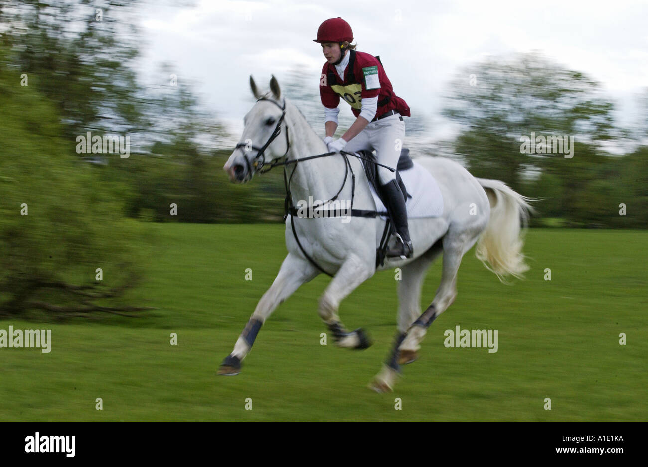 Giovane uomo cavalca un grigio mare cavallo cross country in un concorso per la gestione degli eventi Regno Unito Foto Stock