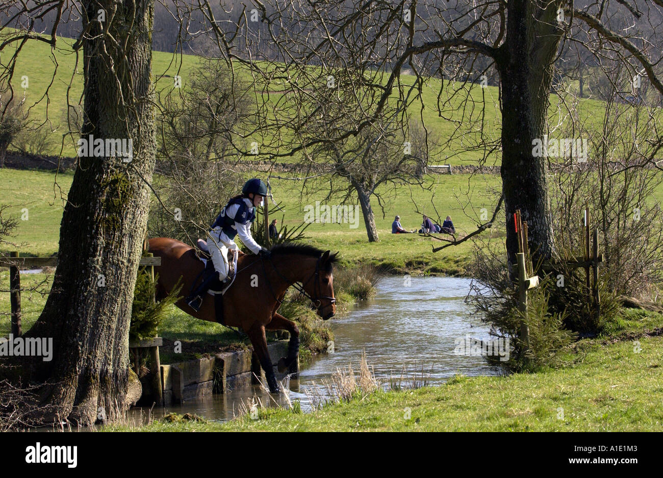 Giovane donna corse Cleveland Bay croce cavallo purosangue nel cross country eventing concorrenza GLOUCESTERSHIRE REGNO UNITO Foto Stock