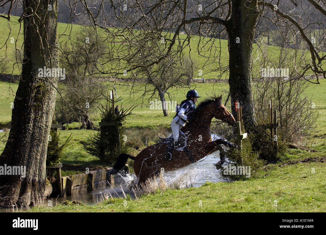 Giovane donna corse Cleveland Bay croce cavallo purosangue nel cross country eventing concorrenza GLOUCESTERSHIRE REGNO UNITO Foto Stock