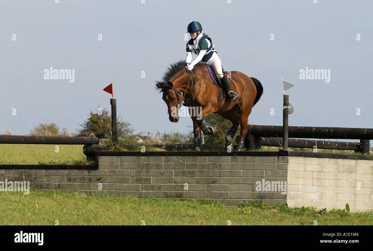 Giovane donna corse a cavallo della baia in un concorso per la gestione degli eventi Gloucestershire Regno Unito Foto Stock