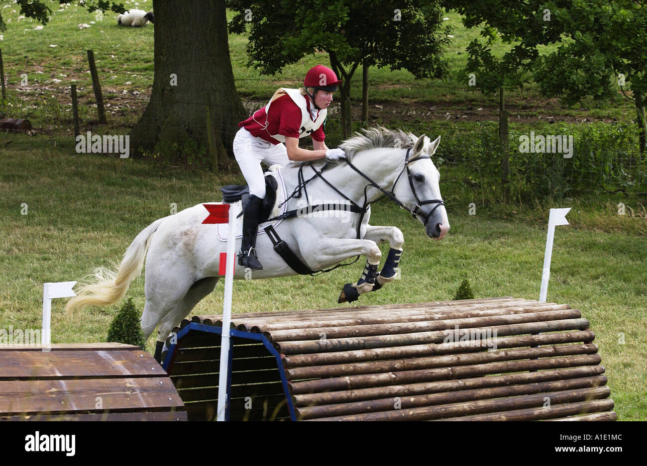 Giovane uomo cavalca un grigio mare cavallo cross country a eventing concorrenza Oxfordshire, Regno Unito Foto Stock