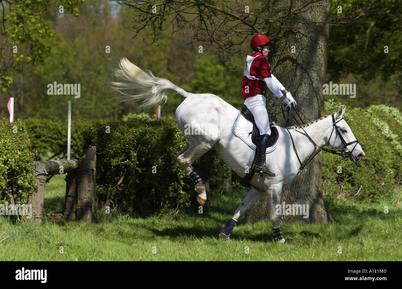 Giovane uomo cavalca un grigio mare cavallo in un cross country eventing concorrenza Oxfordshire, Regno Unito Foto Stock