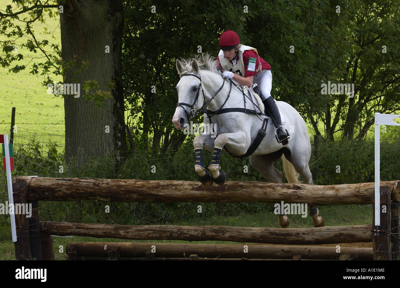 Giovane uomo cavalca un grigio mare cavallo in un concorso per la gestione degli eventi Regno Unito Foto Stock
