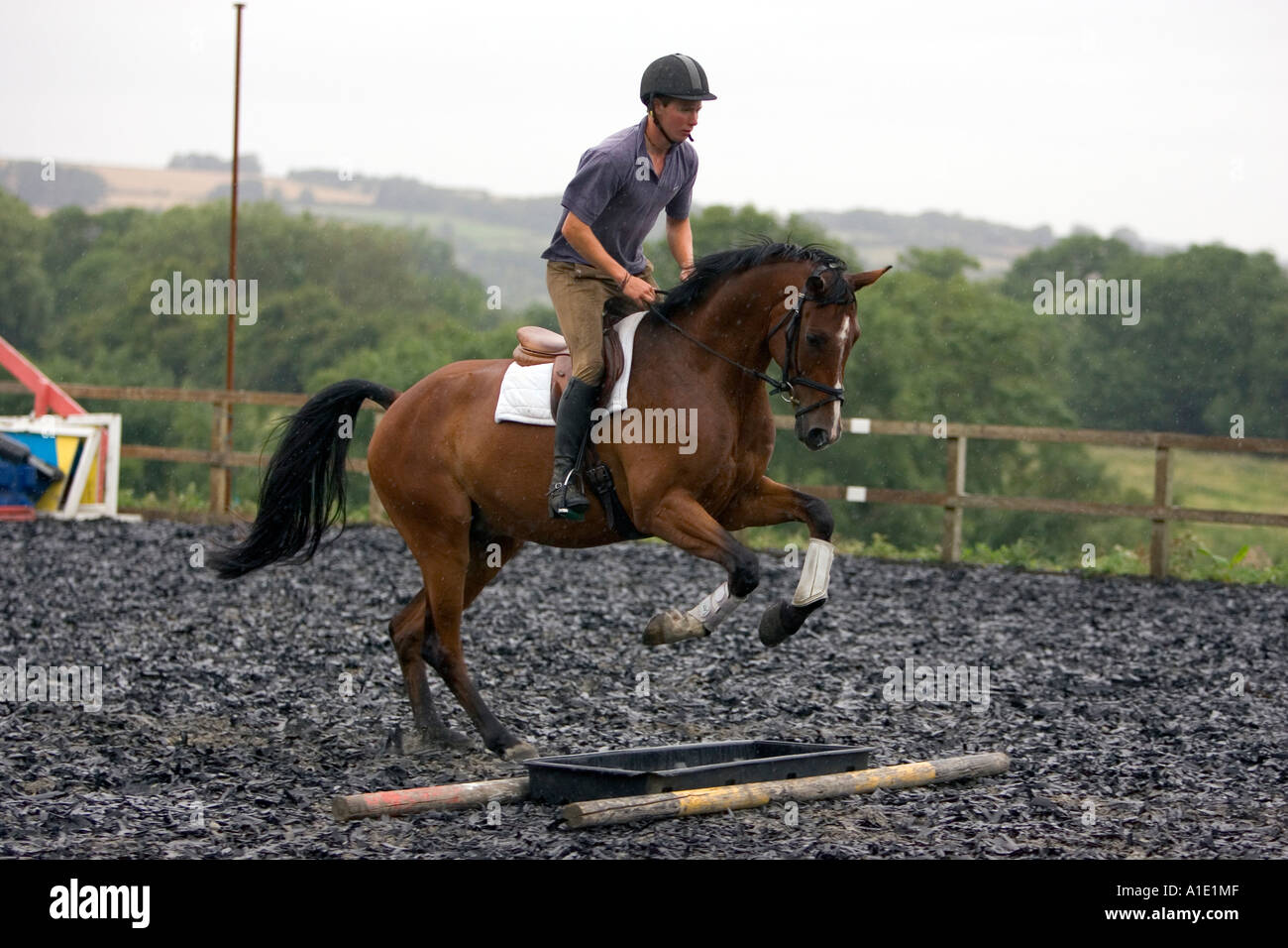 Giovane uomo scuole baia il suo cavallo su pali di trotto in Oxfordshire, Regno Unito Foto Stock