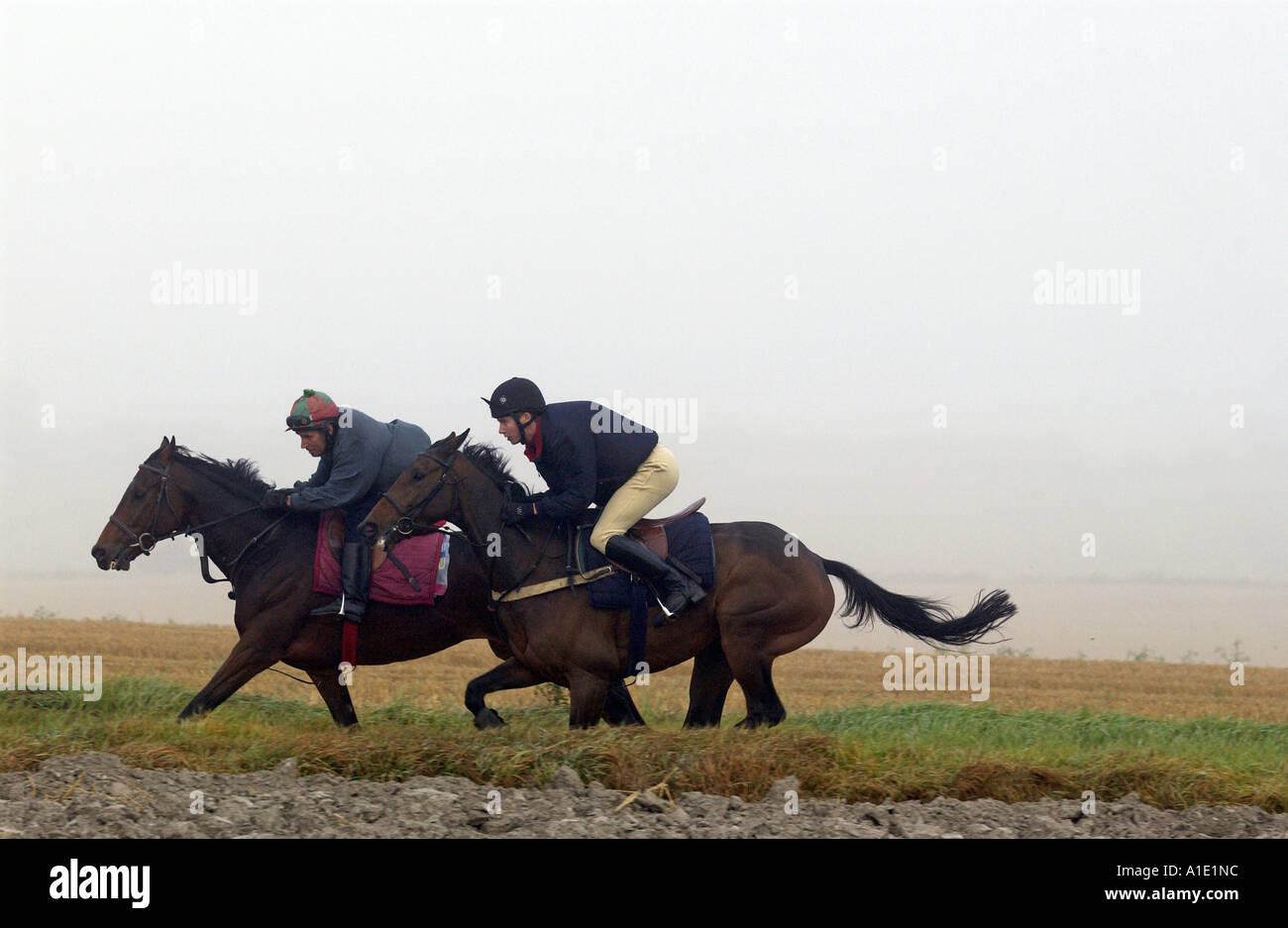 Giovani uomini l'esercizio dei cavalli da corsa sul galoppa Berkshire REGNO UNITO Foto Stock