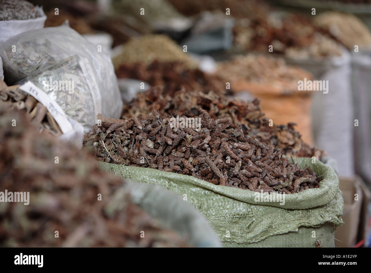 Cinese tradizionale erbe per vendita a Guangzhous mercato Qingping Cina Foto Stock
