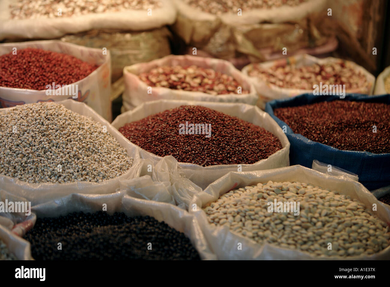 I semi e le erbe per la vendita sul mercato Qingping Guangzhou in Cina Foto Stock