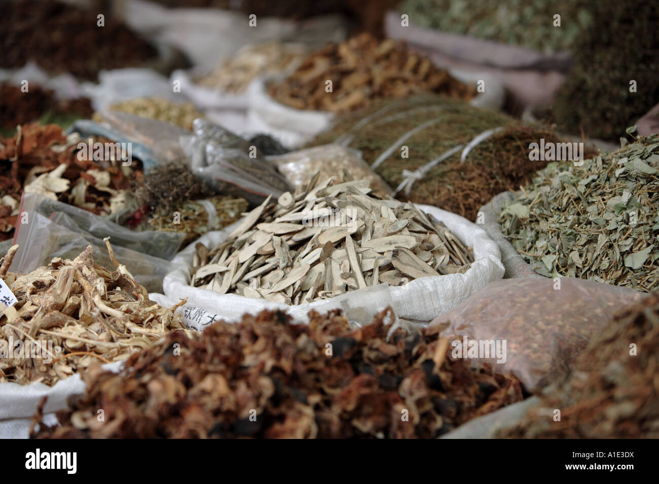 Erbe cinesi per le vendite sul mercato Qingping Guangzhou in Cina Foto Stock