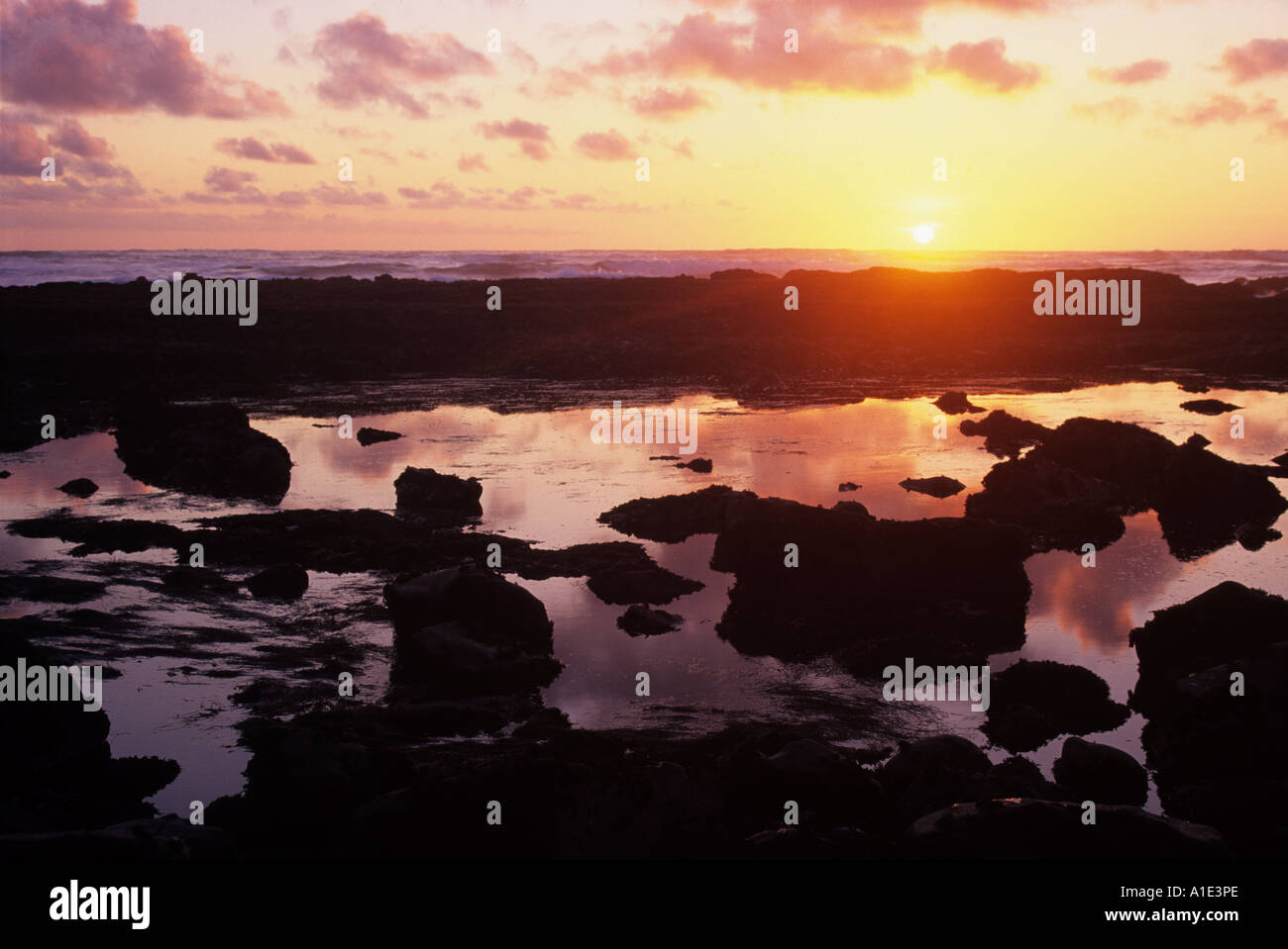 Il sole tramonta su tidepools a James V Fitzgerald Riserva marina di Moss Beach, San Mateo County costa, CALIFORNIA, STATI UNITI D'AMERICA Foto Stock