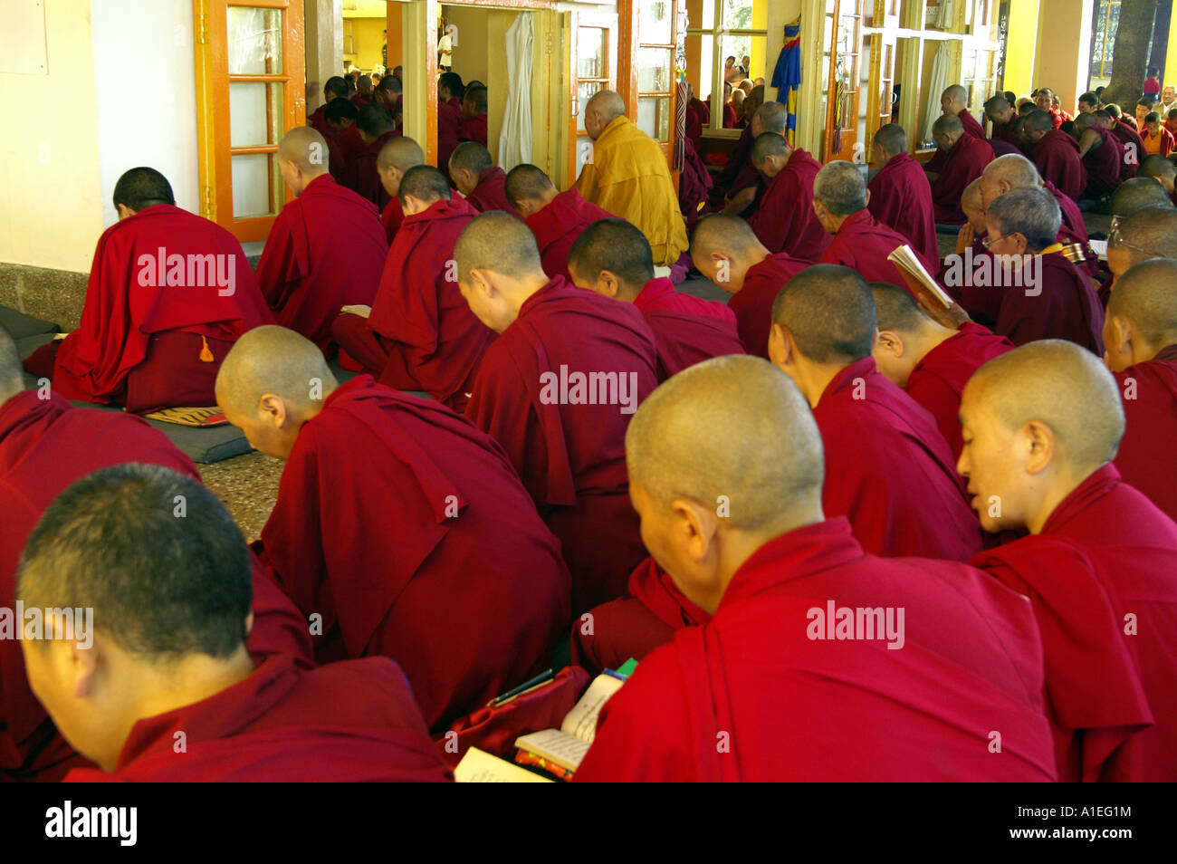 Seduta monaci riuniti nel monastero Namgyal, McLeod Ganj, durante la preghiera Foto Stock