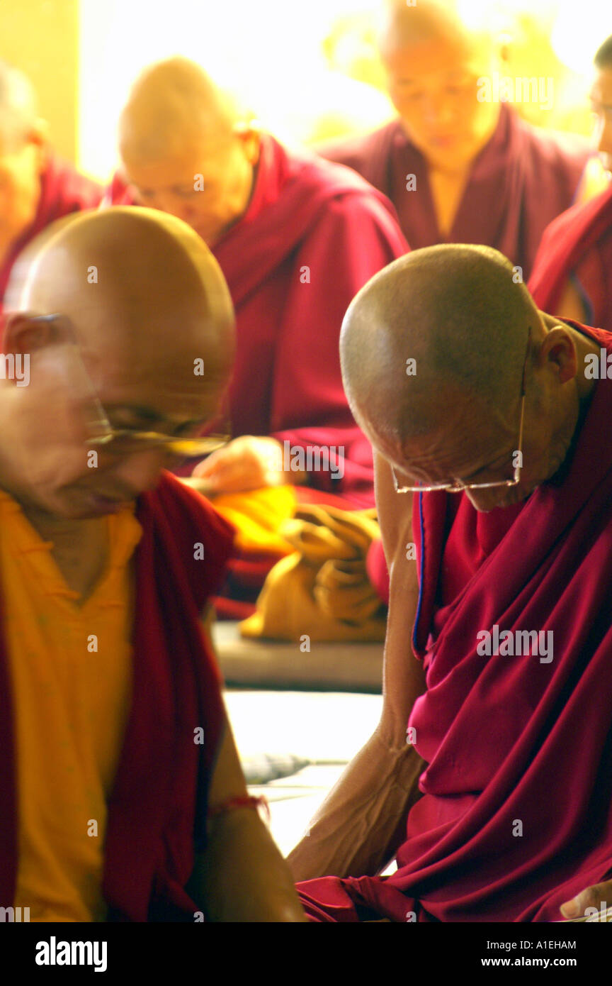 I monaci nel monastero Namgyal libro lettura durante la preghiera, McLeod Ganj Foto Stock