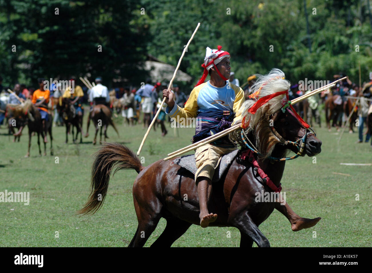 WEST SUMBA INDONESIA PASOLA GUERRA RITUALE Foto Stock