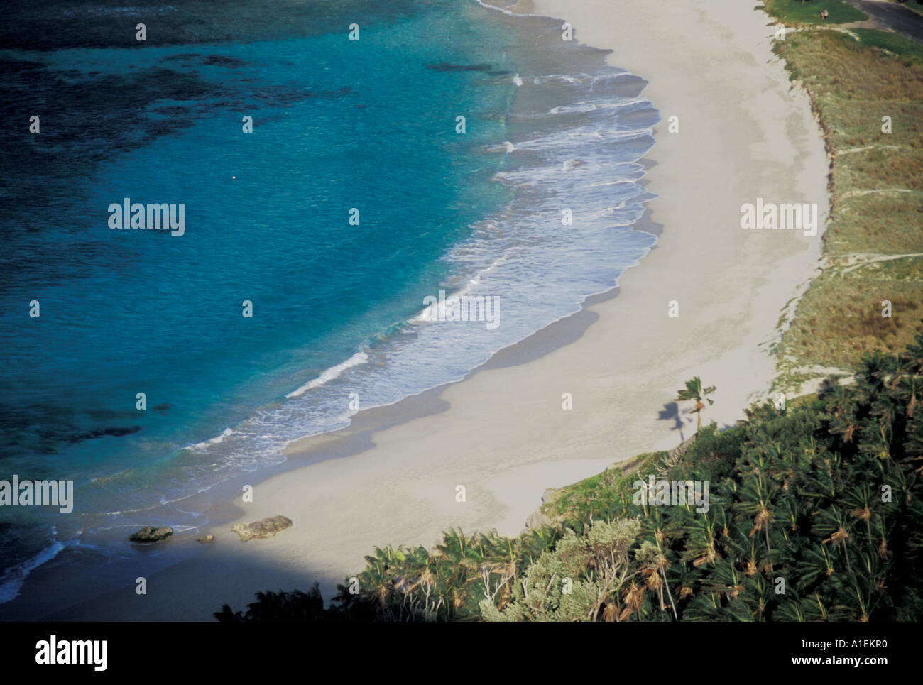 Ned s Beach L'Isola di Lord Howe NSW Australia Foto Stock