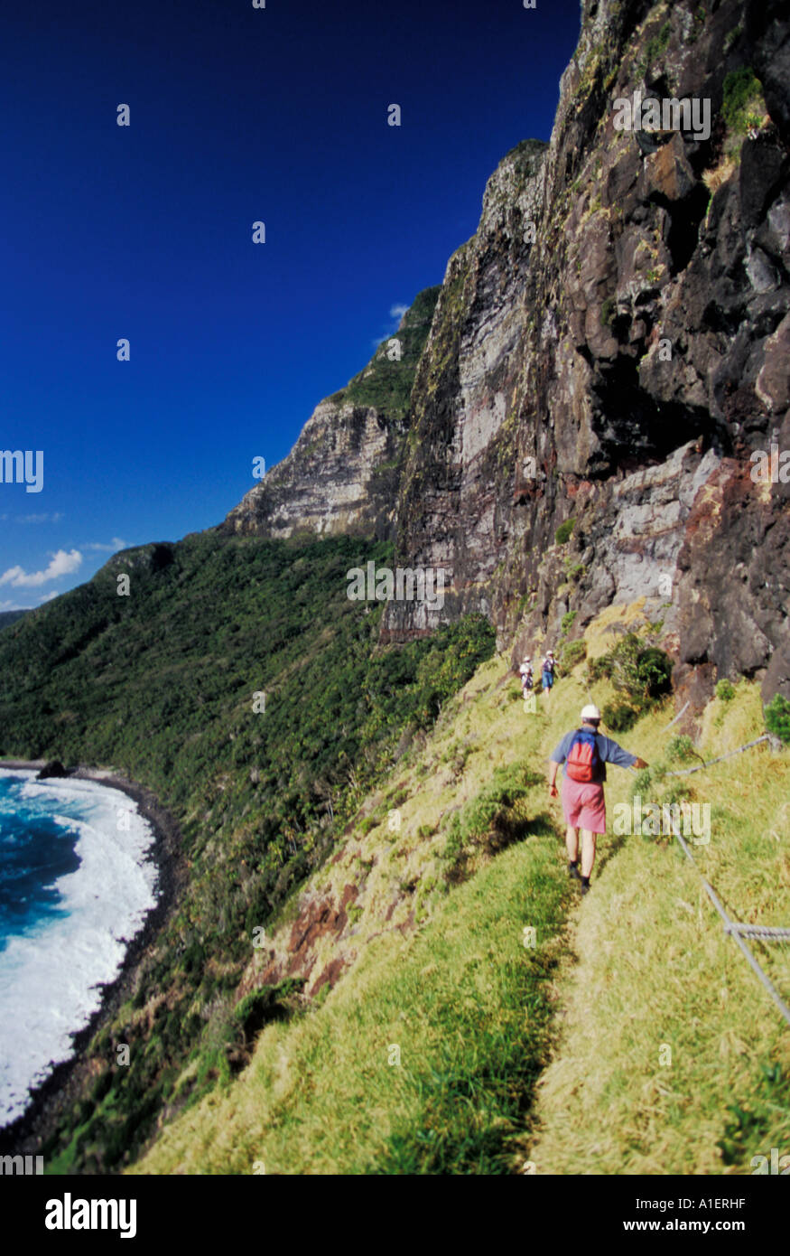 Montare Gower escursione guidata: Turisti escursioni a piedi lungo le scogliere verticali di Mt. Lidgbird, Isola di Lord Howe, NSW, Australia. Foto Stock