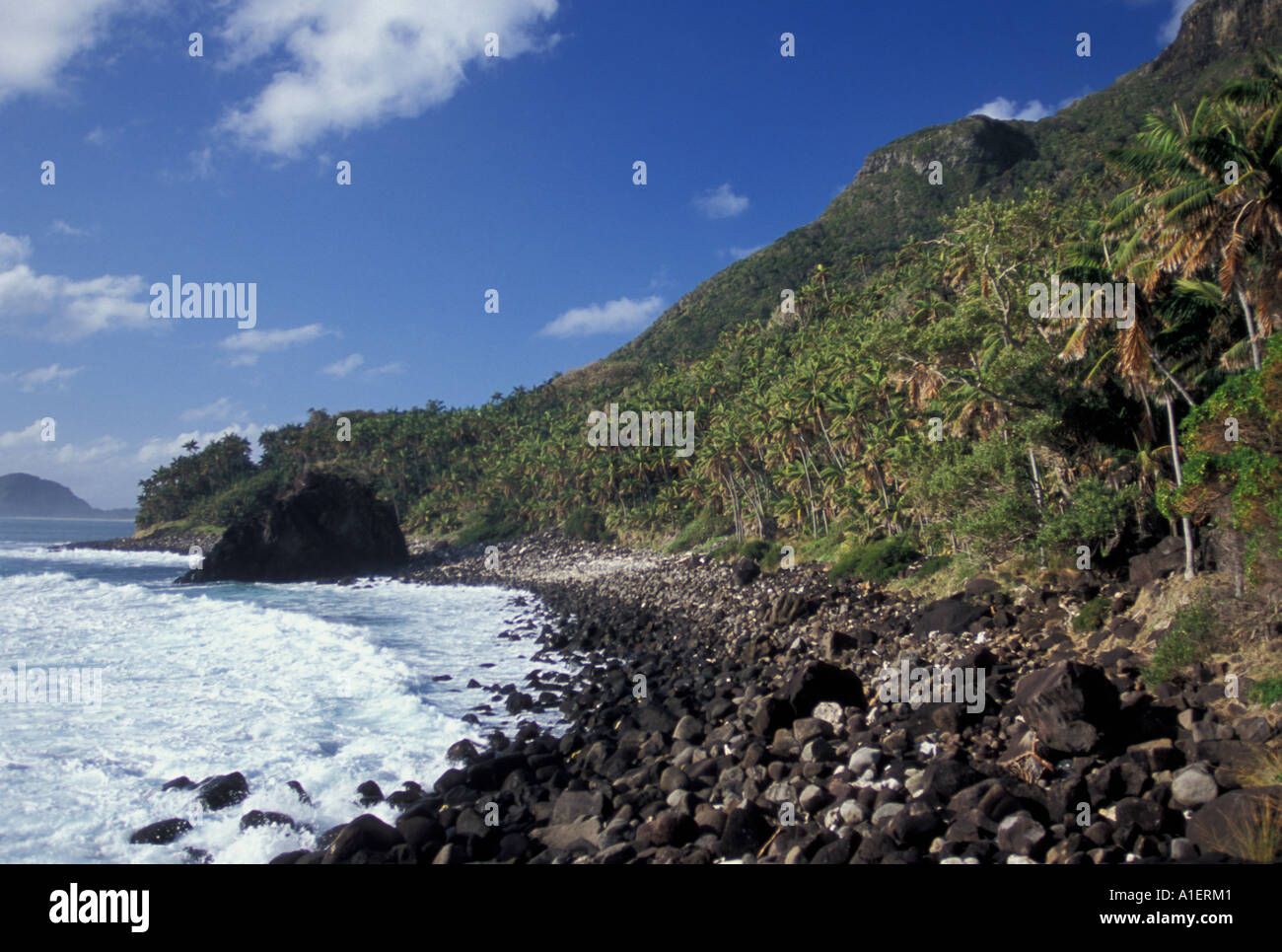 Da palme shore a Little Island, Isola di Lord Howe NSW Australia Foto Stock