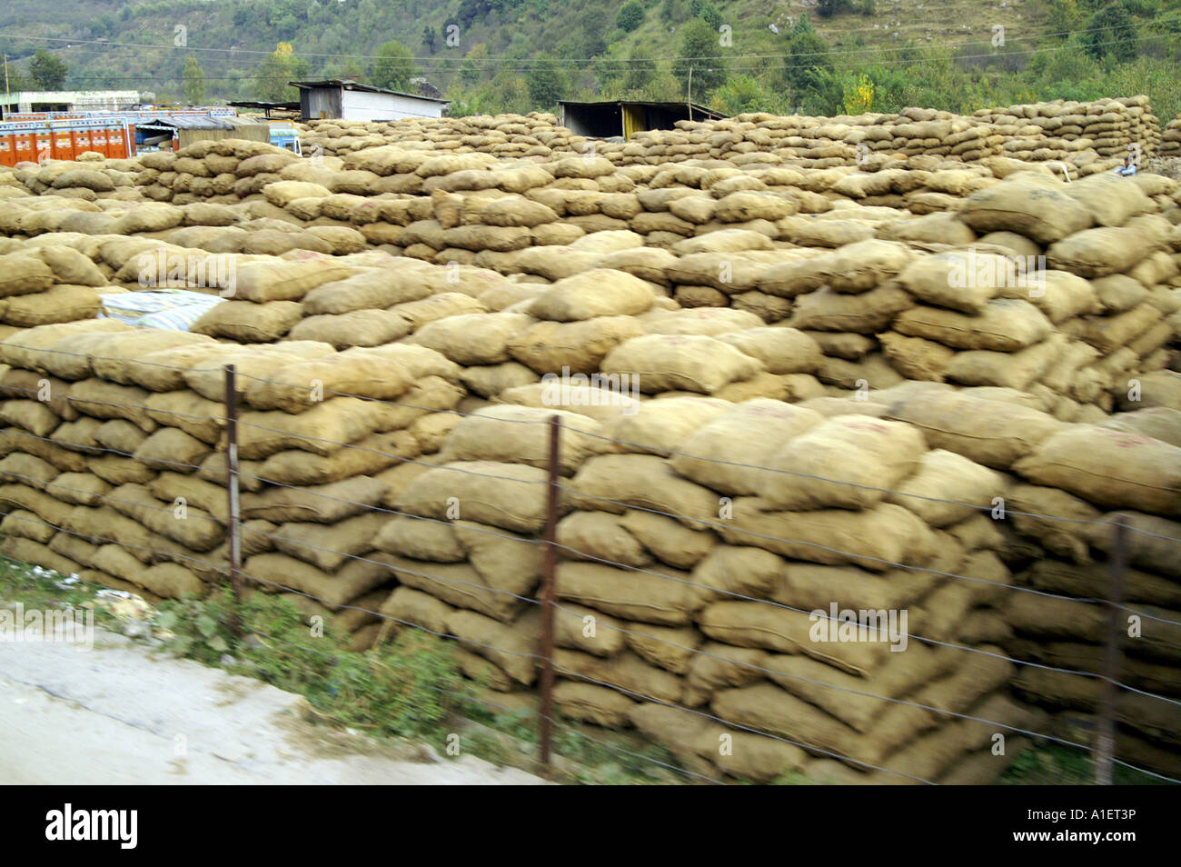 Cumulo di sacchetti con patate - all'aperto deposito principale del raccolto di patata in Manali, Kullu Valley, India Foto Stock