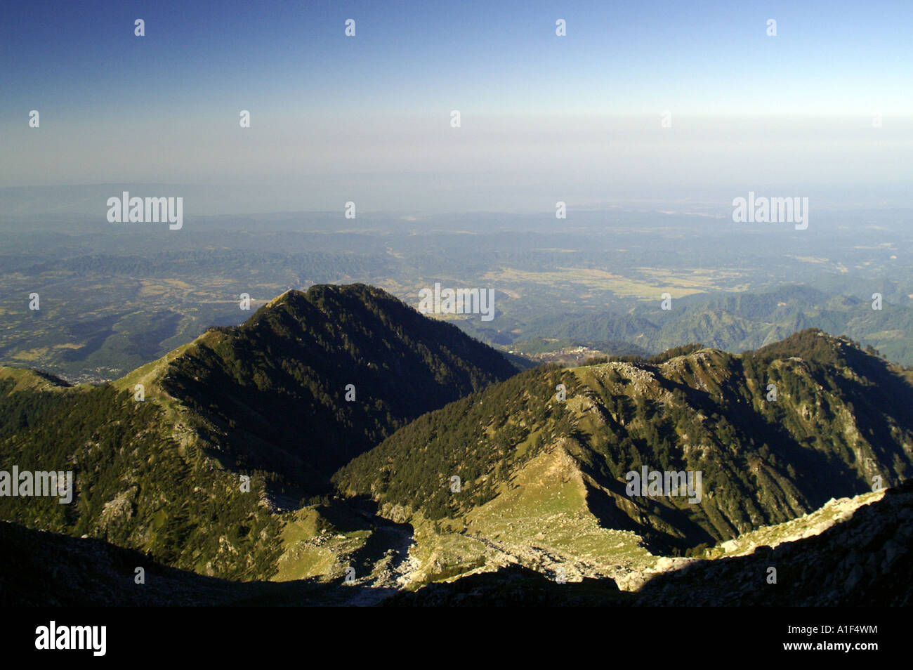 Vista della Valle di Kangra Dharamsala, Laqa Got e McLeod Ganj da Indrahar pass Foto Stock