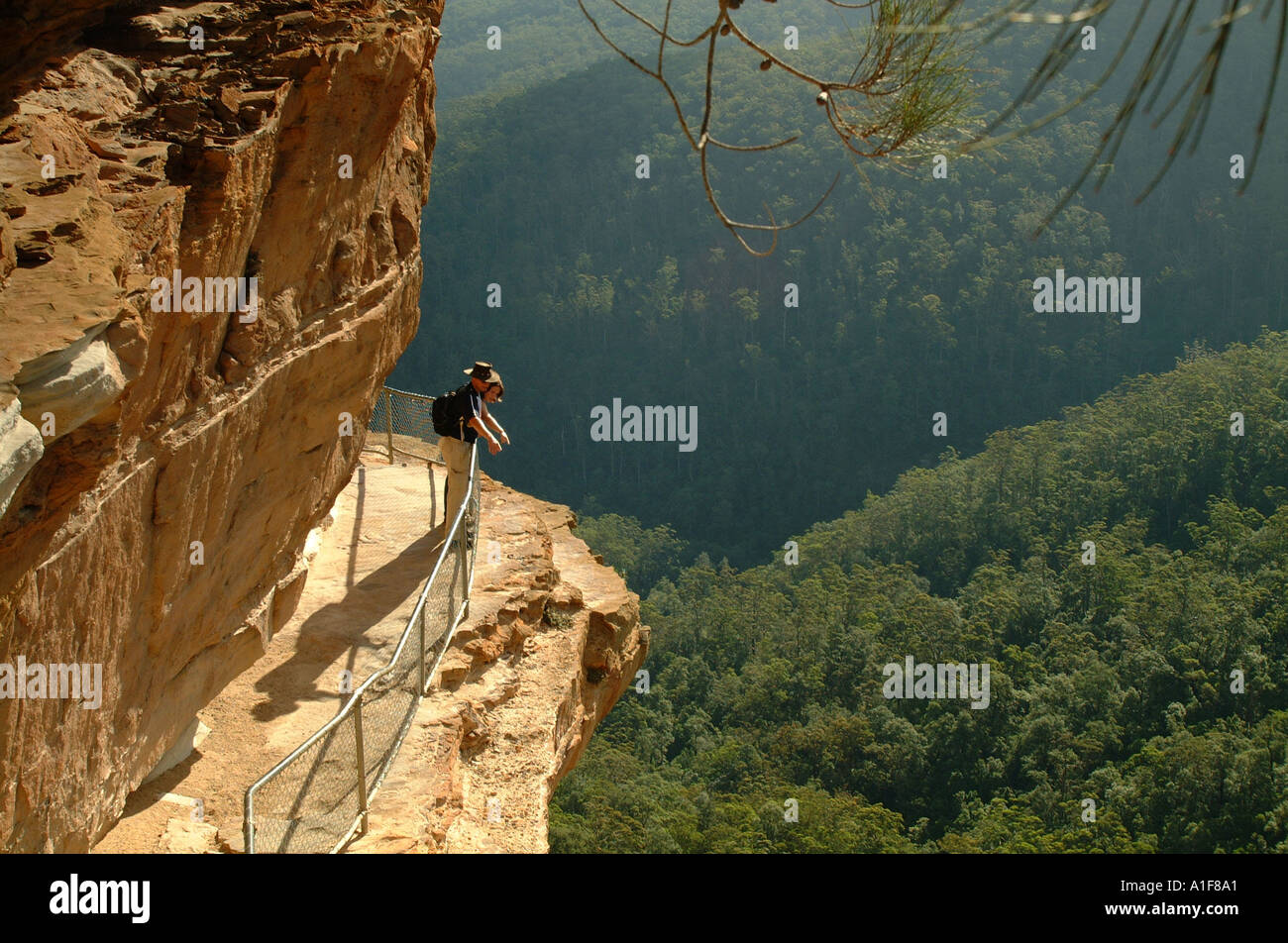 Blue Mountains in Australia gli escursionisti si affacciano sulla Jamison Valley di Wentworth Falls Foto Stock