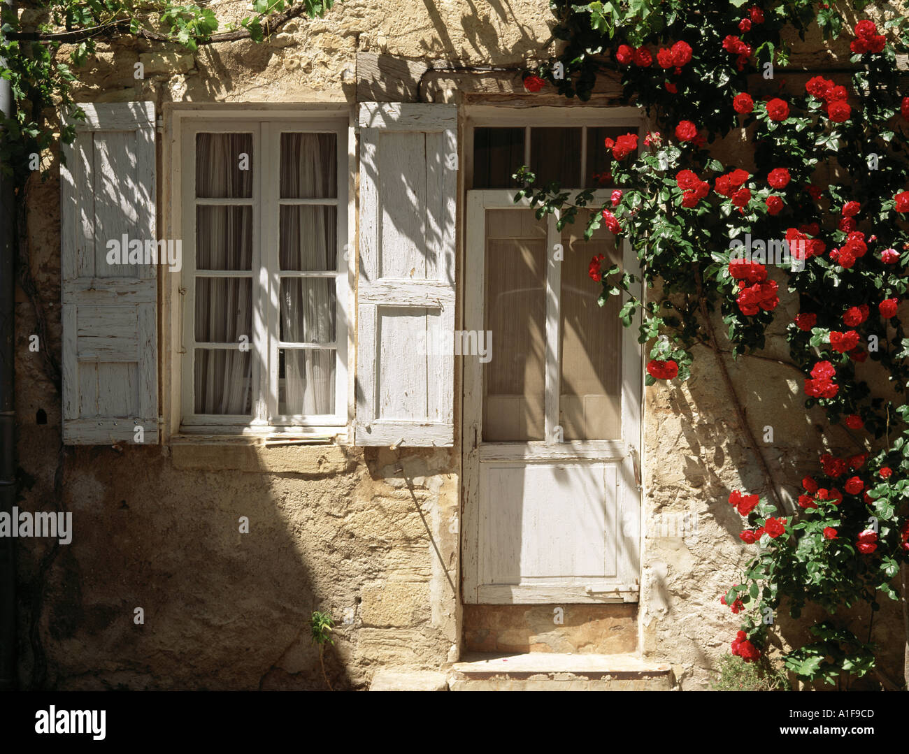 Belle rose intorno a una porta di charme a Vaison la Romaine in Provenza. Immagine rustica tipica della Francia vecchio stile. Foto Stock