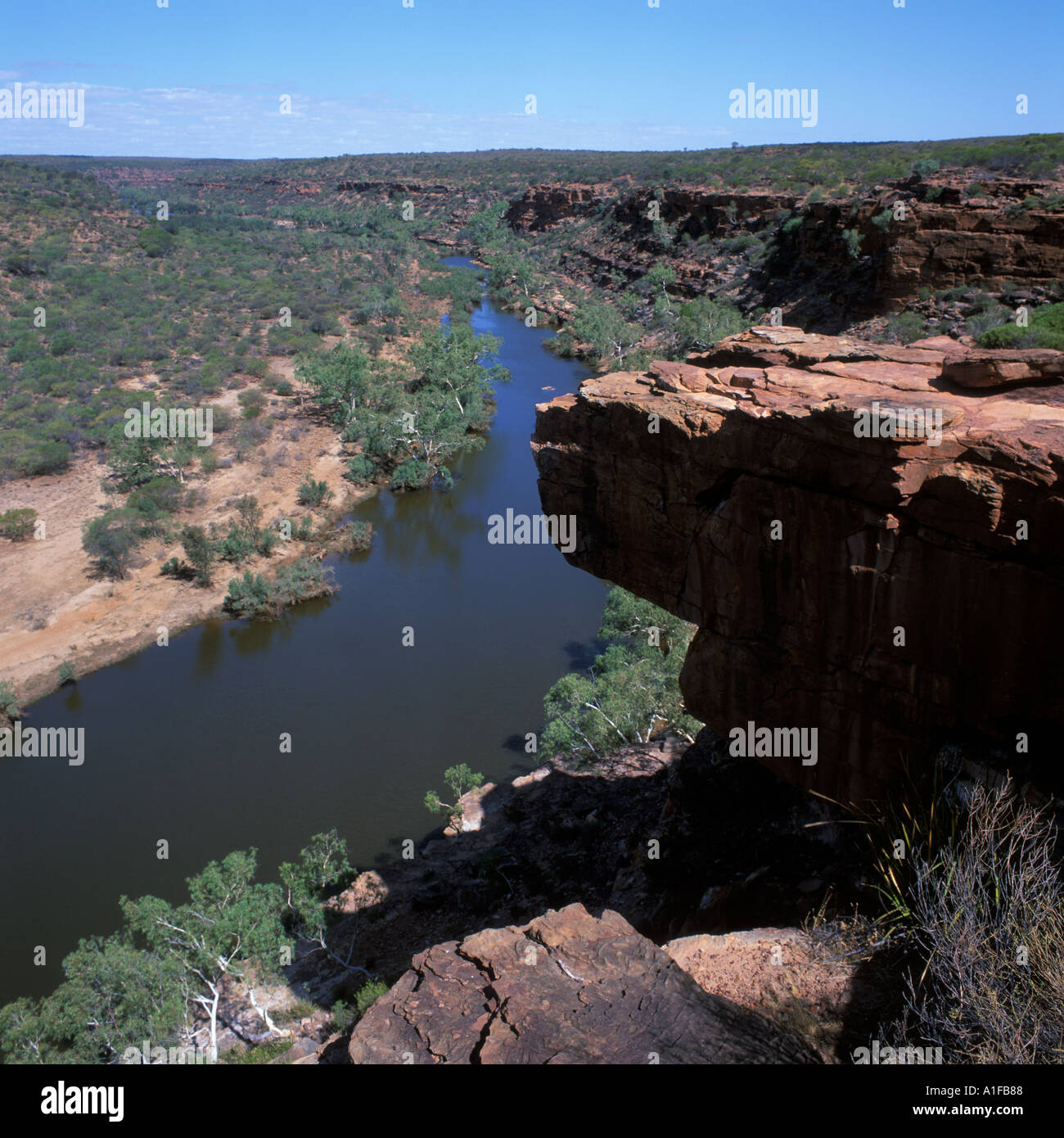 Testa di falchi Kalbarri National Park in Western Austraia Foto Stock