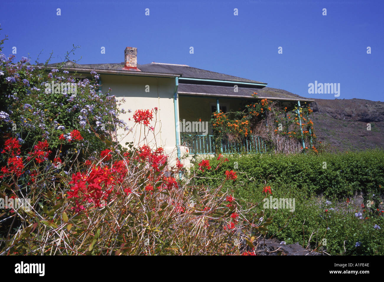 Fiori nella parte anteriore del padiglione radiche la casa dove Napoleone alloggiato da ottobre a dicembre 1815 su St Helena Oceano Atlantico G Foto Stock