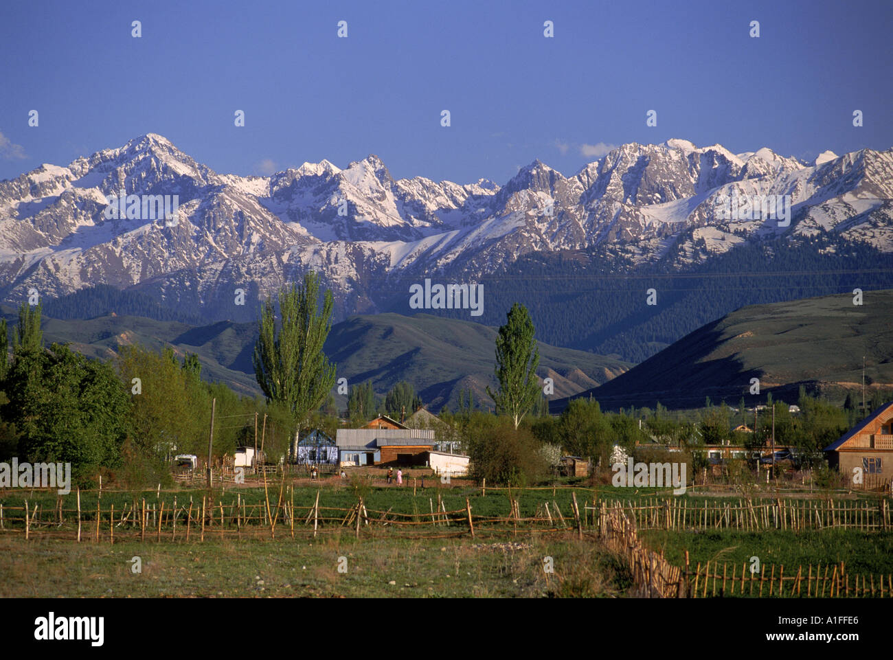 Agriturismo vicino a lago Issyk Kul nel Tien Shan mountain range Tersey Alatoo montagne Kirghizistan CIS Asia centrale G Hellier Foto Stock