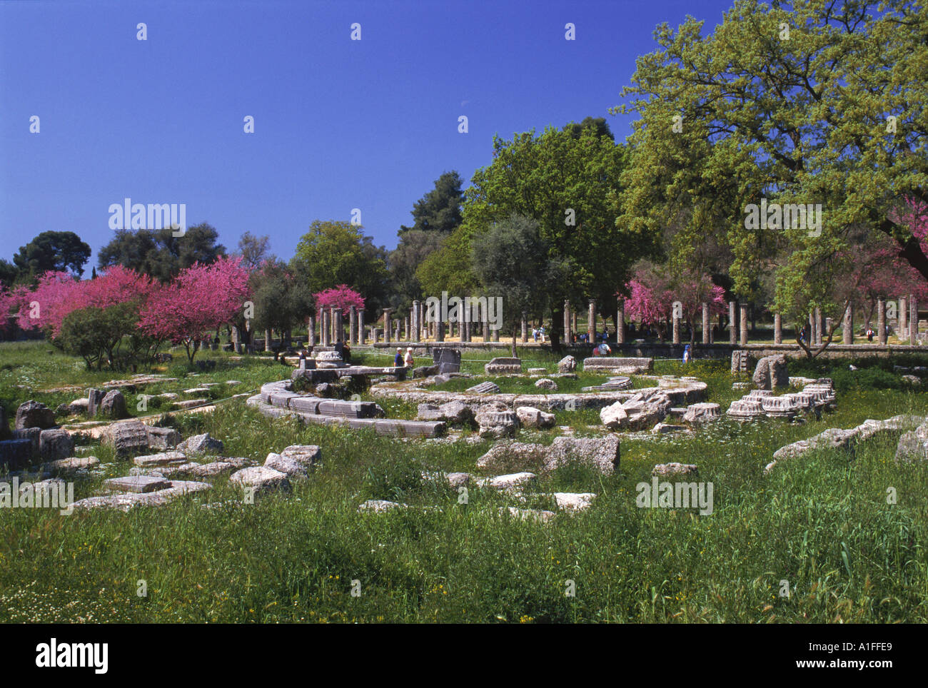 Il sito archeologico di Olimpia luogo di nascita dei primi Giochi Olimpici nel 776 A.C. Grecia G Hellier Foto Stock