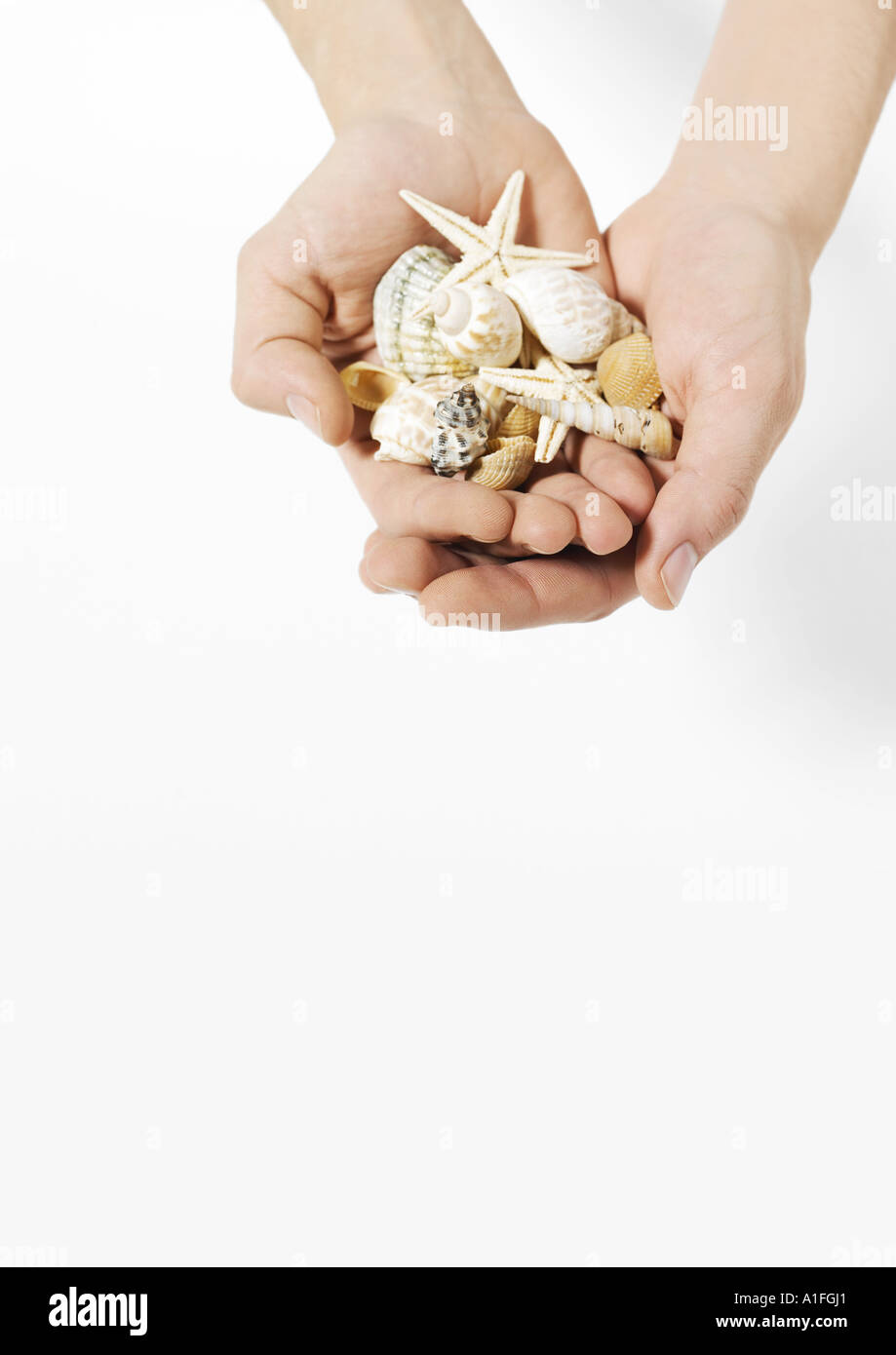 Mani di conchiglie Foto Stock Mani di conchiglie Foto Stock