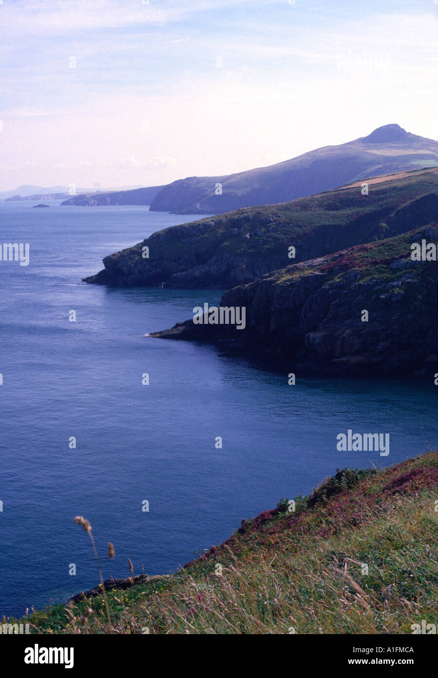 Penberry dal vicino a St David s testa Pembrokeshire costiera del parco nazionale del Galles Foto Stock