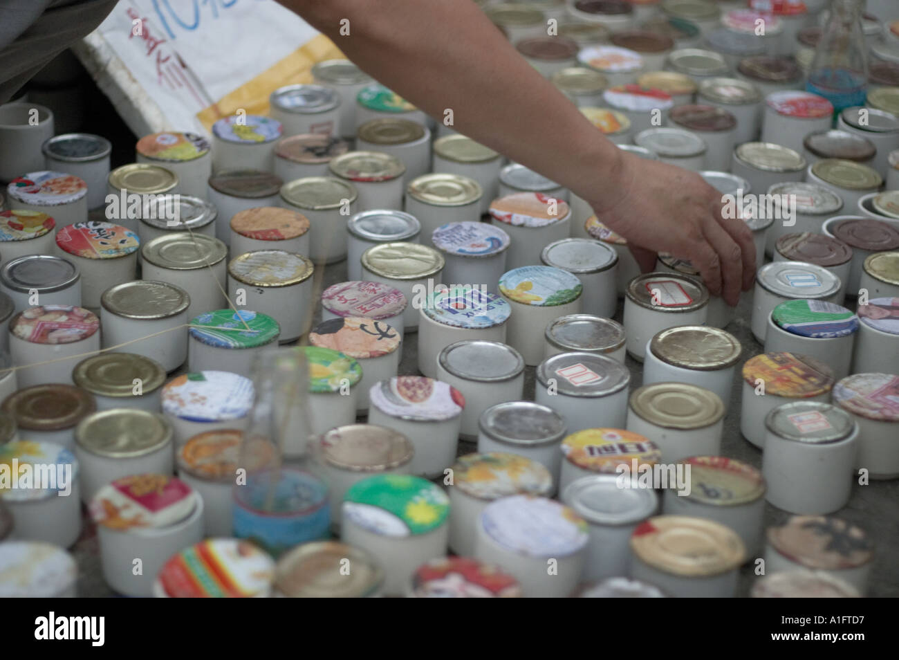Cricket lotta popolare è un tempo di passaggio in Cina questi uomini sono la visualizzazione scegliendo Selezione di acquistare quindi le scommesse su combattimenti e guardare i grilli insetti a dongtai fiore pesci di uccelli ed insetti mercato cinese di Shanghai i grilli sono venduti in piccoli vasi e vengono agitati con un bastone per vedere quanto bene si sarebbe lotta Foto Stock