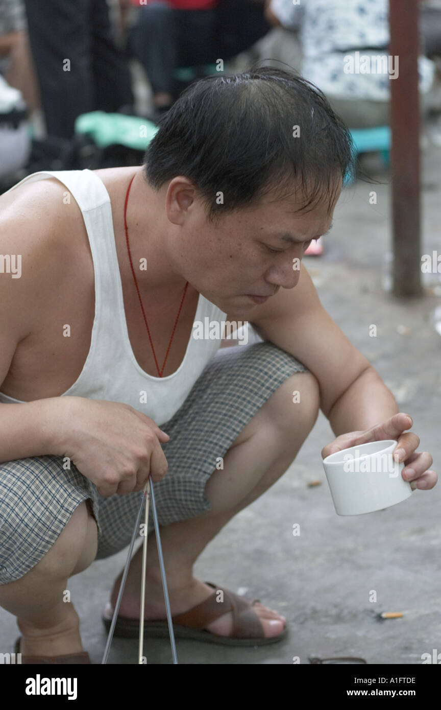 Cricket lotta popolare è un tempo di passaggio in Cina questi uomini sono la visualizzazione scegliendo Selezione di acquistare quindi le scommesse su combattimenti e guardare i grilli insetti a dongtai fiore pesci di uccelli ed insetti mercato cinese di Shanghai i grilli sono venduti in piccoli vasi e vengono agitati con un bastone per vedere quanto bene si sarebbe lotta Foto Stock