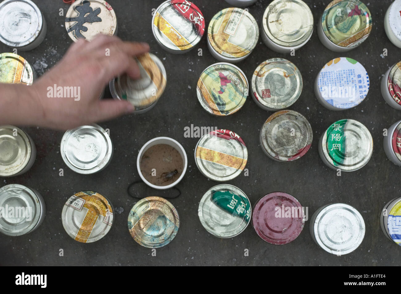 Cricket lotta popolare è un tempo di passaggio in Cina questi uomini sono la visualizzazione scegliendo Selezione di acquistare quindi le scommesse su combattimenti e guardare i grilli insetti a dongtai fiore pesci di uccelli ed insetti mercato cinese di Shanghai i grilli sono venduti in piccoli vasi e vengono agitati con un bastone per vedere quanto bene si sarebbe lotta Foto Stock