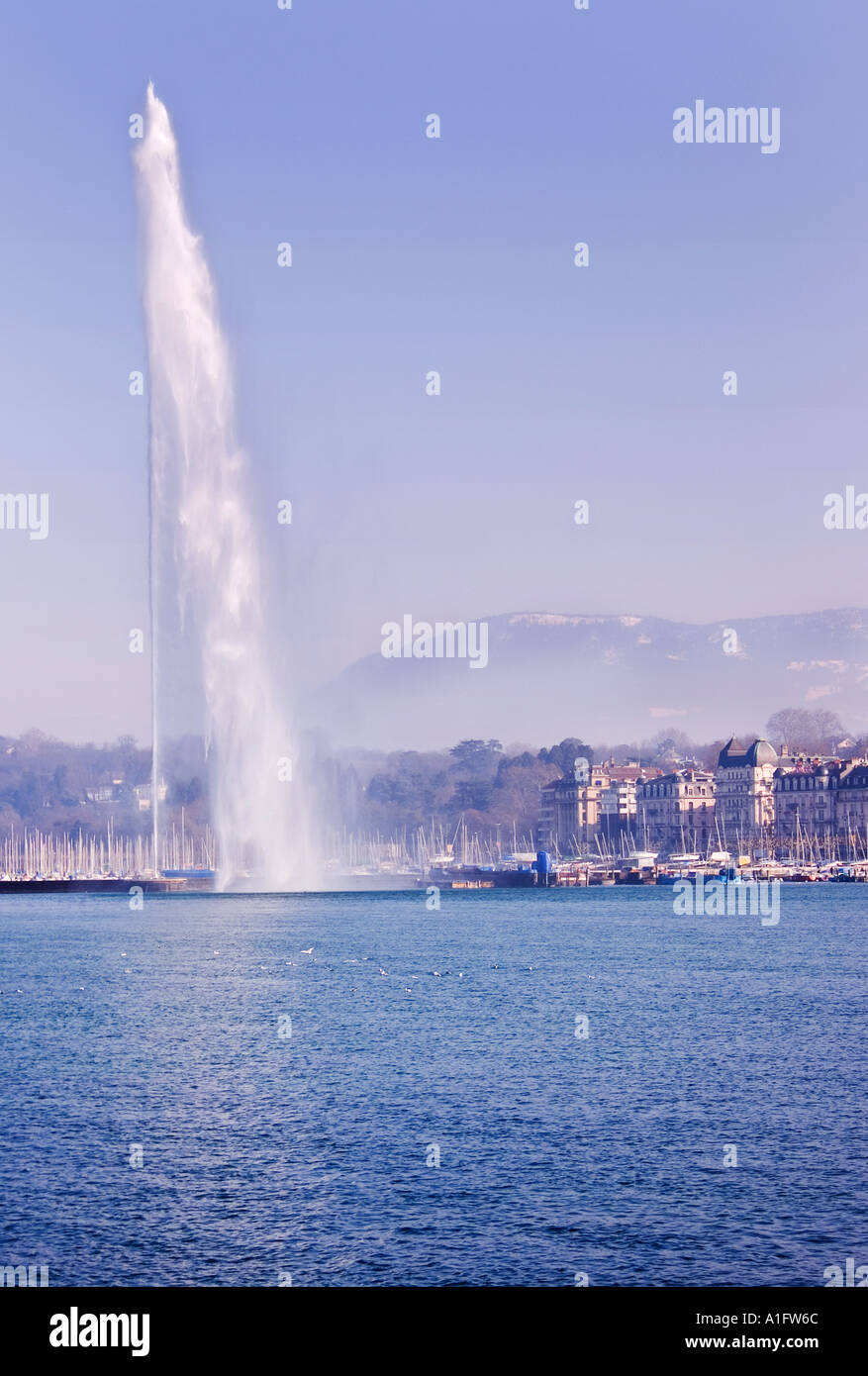 Jet d'eau Ginevra Foto Stock