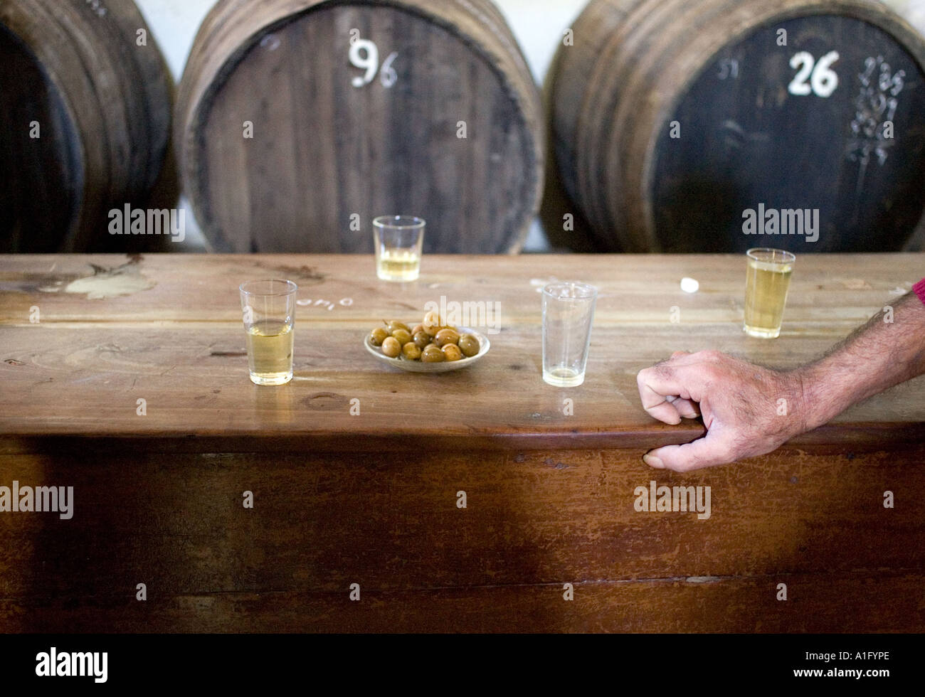 Vecchia Taverna con legno grandi botti di vino, Spagna Foto Stock