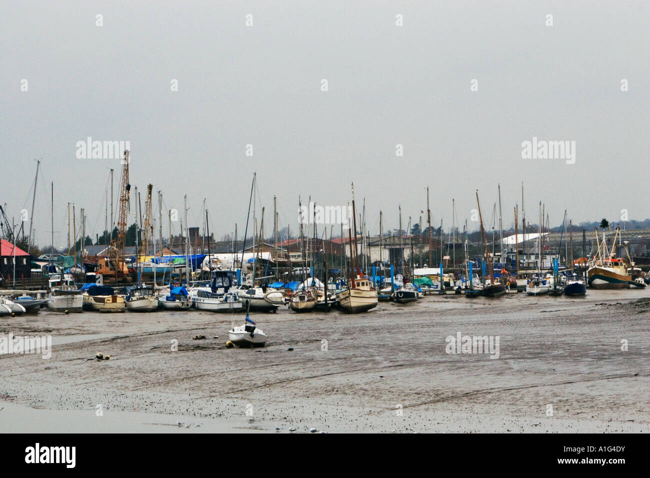 Barche a vela spiaggiata nel fango con la bassa marea Maldon Inghilterra Foto Stock