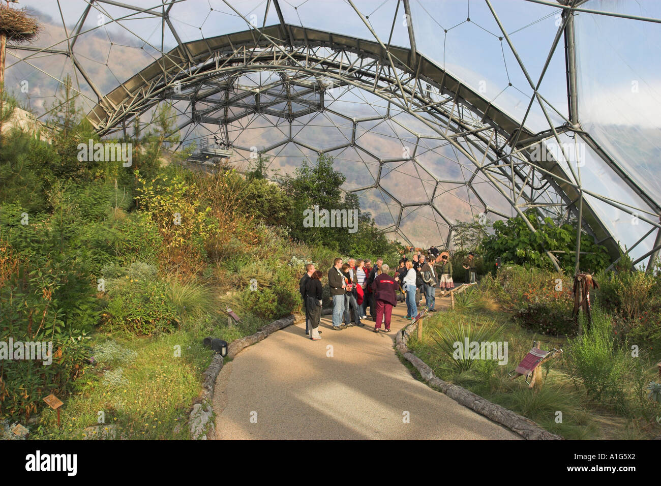 Eden Project colloqui guida al gruppo interno temperato biome. Foto Stock